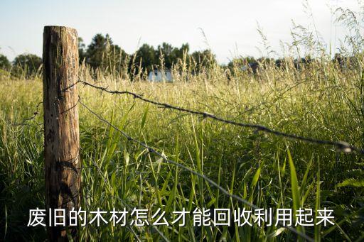 废旧的木材怎么才能回收利用起来