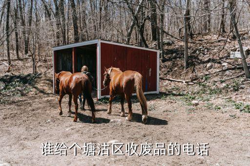 天津收酒大行，天津哪有收购奢侈品的