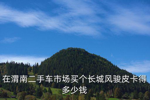 在渭南二手车市场买个长城风骏皮卡得多少钱