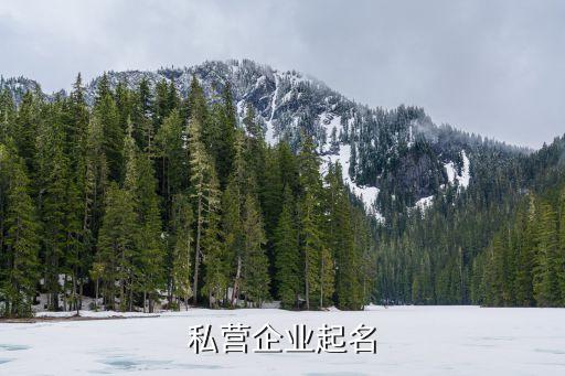 私营企业起名