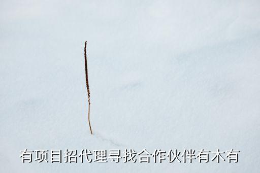 有项目招代理寻找合作伙伴有木有