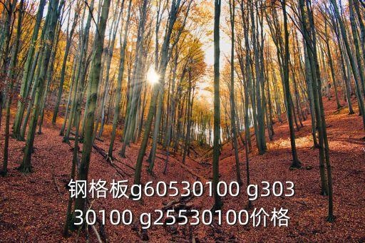 热镀锌钢格板厂家报价，镀锌格栅板大概多少钱一吨上海地区