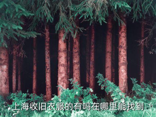 上海收旧衣服的有吗在哪里能找到