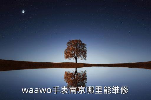 劳力士官方售后维修中心服务南京，waawo手表南京哪里能维修