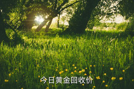 今日黄金回收价