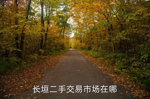 长垣二手交易市场在哪