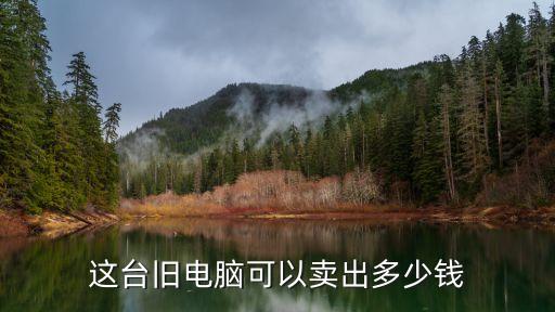 这台旧电脑可以卖出多少钱