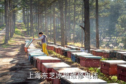 上海东芝冰箱维修电话