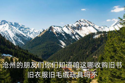 沧州的朋友们你们知道咱这哪收购旧书旧衣服旧毛绒玩具吗不