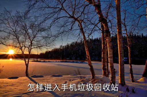 怎样进入手机垃圾回收站