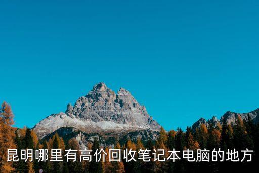 昆明哪里有高价回收笔记本电脑的地方