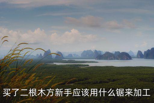 买了二根木方新手应该用什么锯来加工
