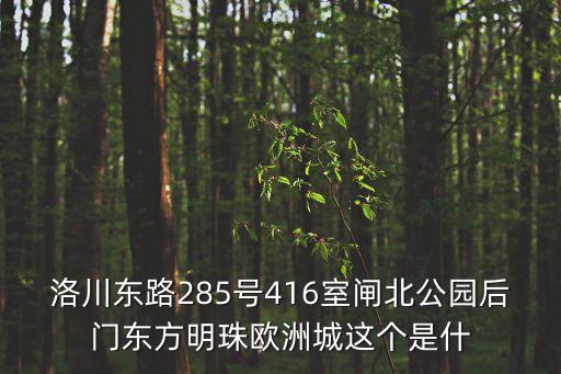 洛川东路285号416室闸北公园后门东方明珠欧洲城这个是什