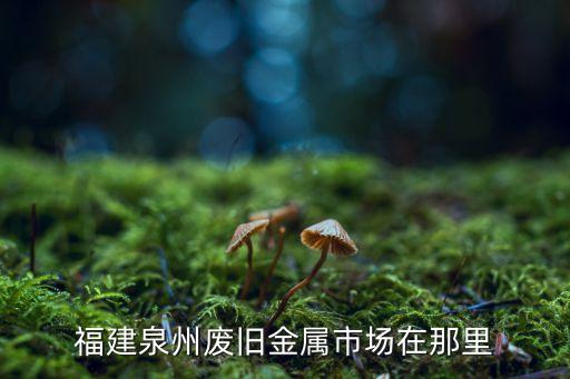 泉州市废铁回收站，福建泉州废旧金属市场在那里