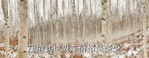 压缩式垃圾车价格是多少