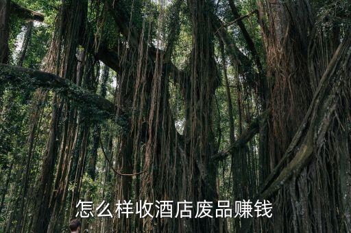 怎么样收酒店废品赚钱