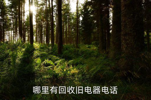 哪里有回收旧电器电话