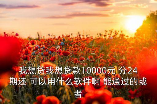 我想贷我想贷款10000元 分24期还 可以用什么软件啊 能通过的或者