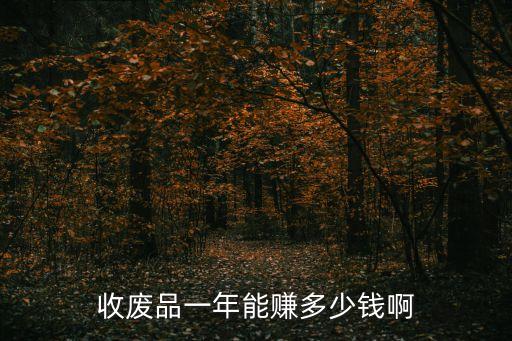 东莞市废品回收站一年赚多少钱，废品收购站一年大概赚多少钱