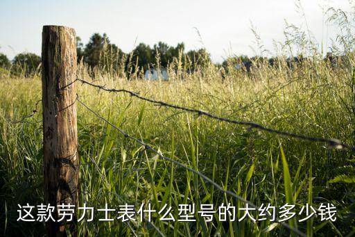 这款劳力士表什么型号的大约多少钱