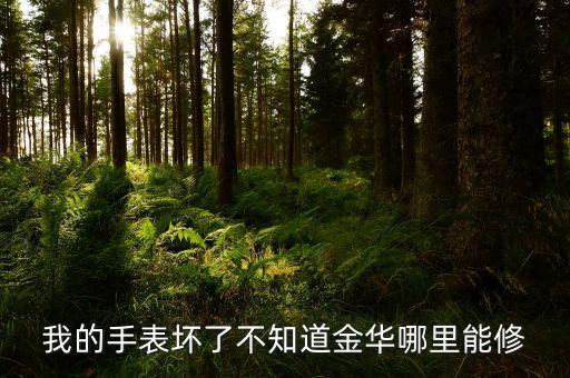 我的手表坏了不知道金华哪里能修