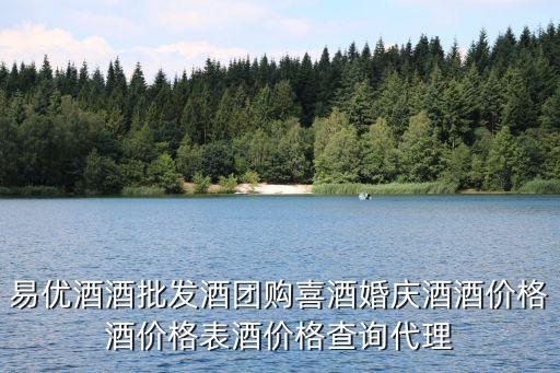 易优酒酒批发酒团购喜酒婚庆酒酒价格酒价格表酒价格查询代理