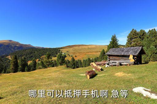 哪里可以抵押手机啊 急等