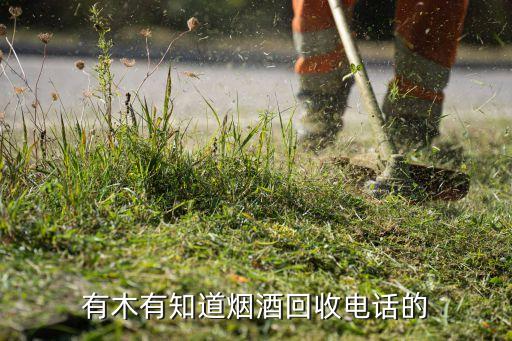 昆明茅台酒回收电话是多少，有谁知道昆明茅台酒回收在哪里谢谢