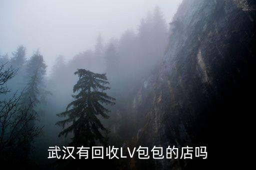 武汉有回收LV包包的店吗