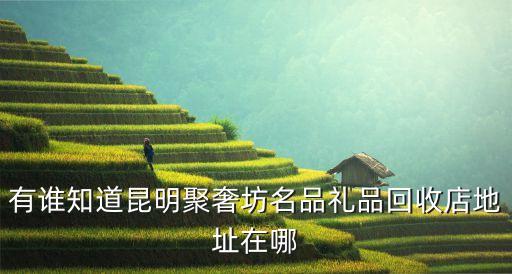 有谁知道昆明聚奢坊名品礼品回收店地址在哪