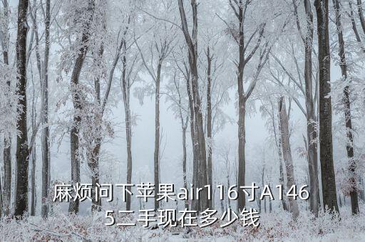 麻烦问下苹果air116寸A1465二手现在多少钱