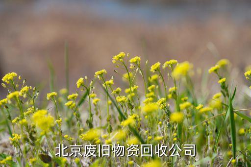 北京废旧物资回收公司