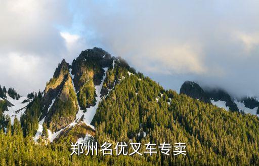 郑州名优叉车专卖