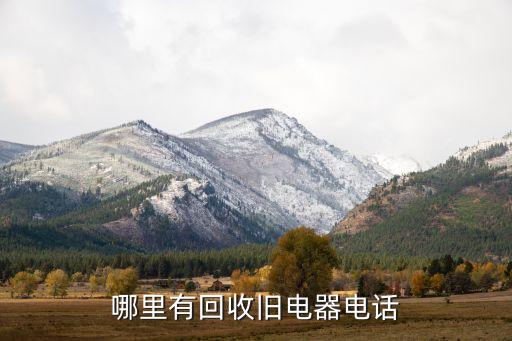 哪里有回收旧电器电话
