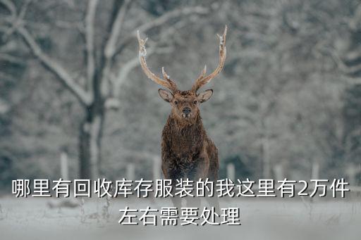哪里有回收库存服装的我这里有2万件左右需要处理