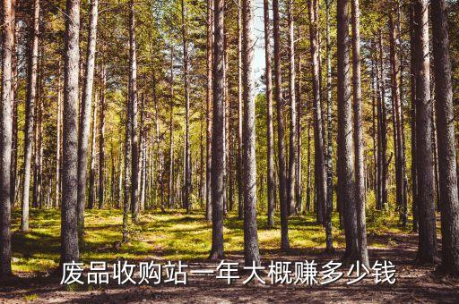 废品收购站一年大概赚多少钱