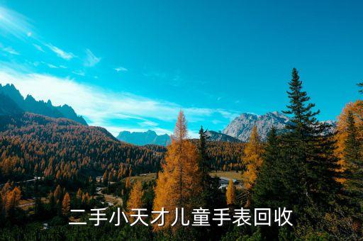 二手小天才儿童手表回收