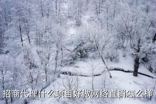 招商代理什么项目好做网络直销怎么样