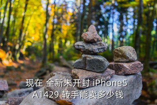 现在 全新未开封 iPhone5 A1429 转手能卖多少钱
