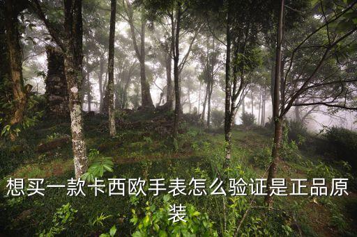 想买一款卡西欧手表怎么验证是正品原装