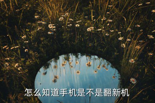 怎么知道手机是不是翻新机，如何看手机是否翻新过