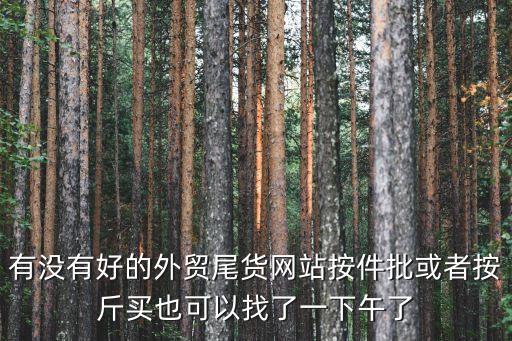有没有好的外贸尾货网站按件批或者按斤买也可以找了一下午了
