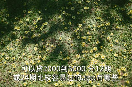 可以贷2000到5000 分12期或24期比较容易过的app有哪些