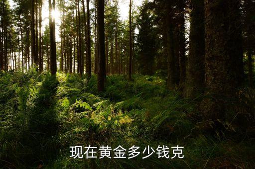 现在黄金多少钱克