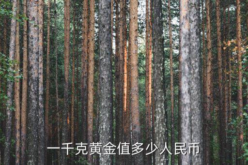 一千克黄金值多少人民币