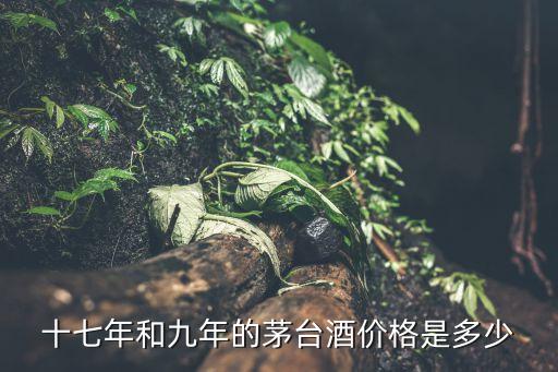 十七年和九年的茅台酒价格是多少