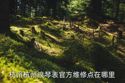 杭州杭州浪琴表官方维修点在哪里