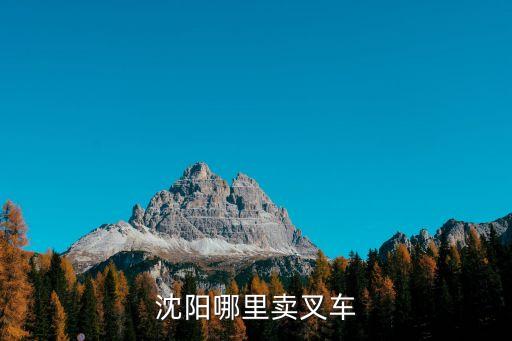 沈阳哪里卖叉车