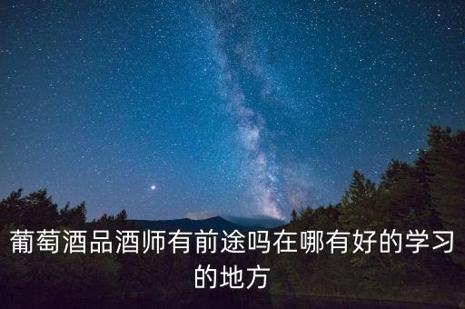 葡萄酒品酒师有前途吗在哪有好的学习的地方