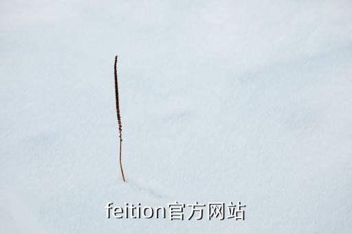 feition官方网站